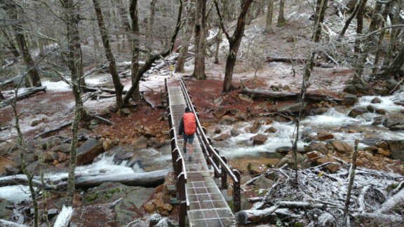 un puente sobre el arroyo van titter. Alrededor el bosque apenas nevado