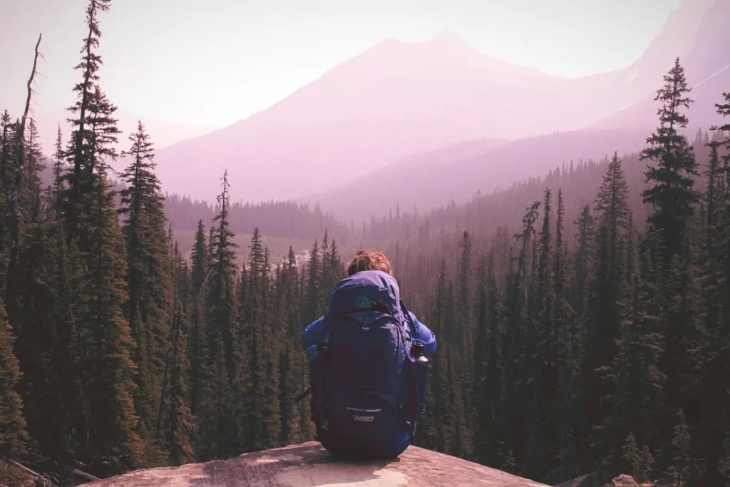 una persona sentada de espaldas con una mochila mirando un paisaje de pinos y montañas al fondo