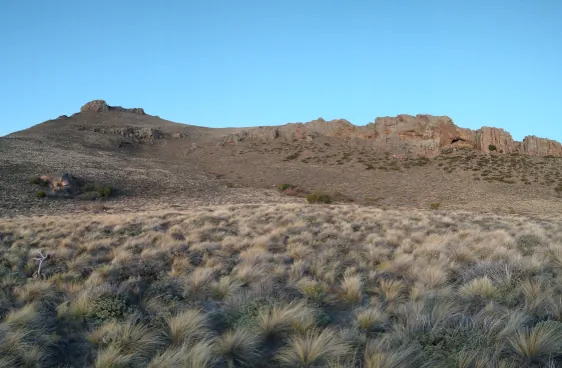 paisaje de estepa con coirones en primer plano y al fondo las rocas de la cueva y una  cumbre del cerro Villegas