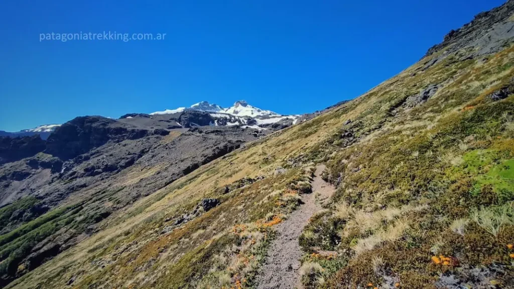 Ascenso al refugio viejo del cerro Tronador: dos días entre barro, bosque y hielo 13 camino refugio viejo tronador 3