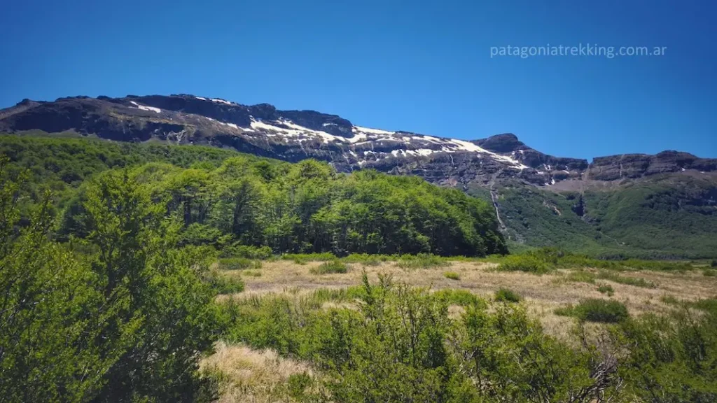 Ascenso al refugio viejo del cerro Tronador: dos días entre barro, bosque y hielo 10 mallin chileno