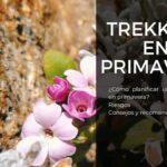 banner trekking primavera sq