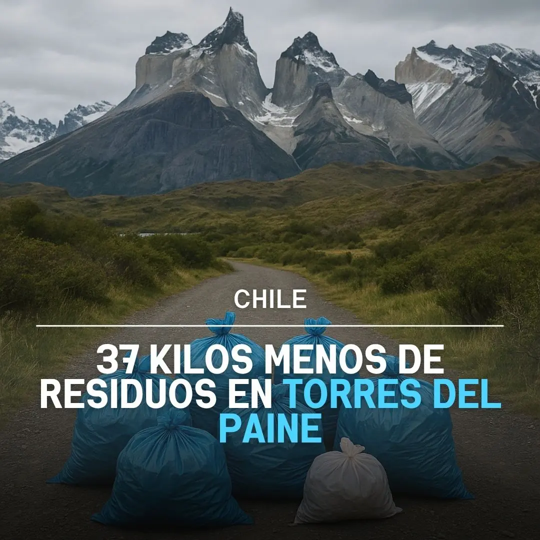residuos rorres del paine