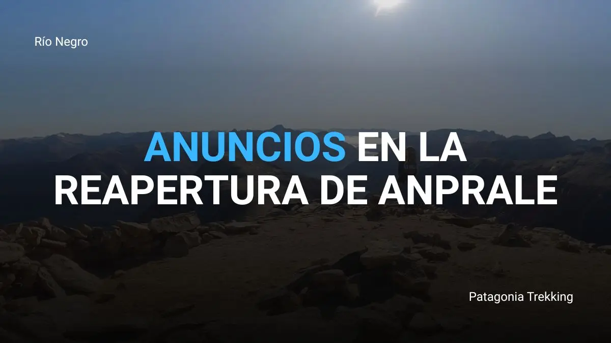 reapertura anprale pasarelas
