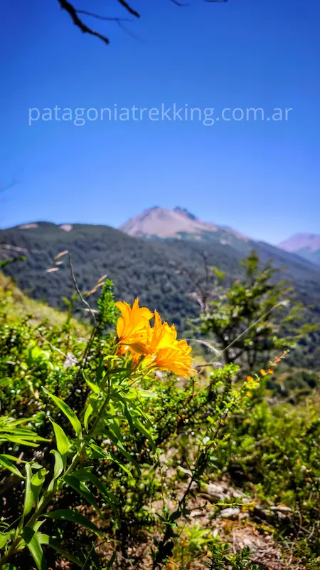 Desde el Centinela al Cerro Simone: la distancia entre la huella y el track 7 cerro simone amancay