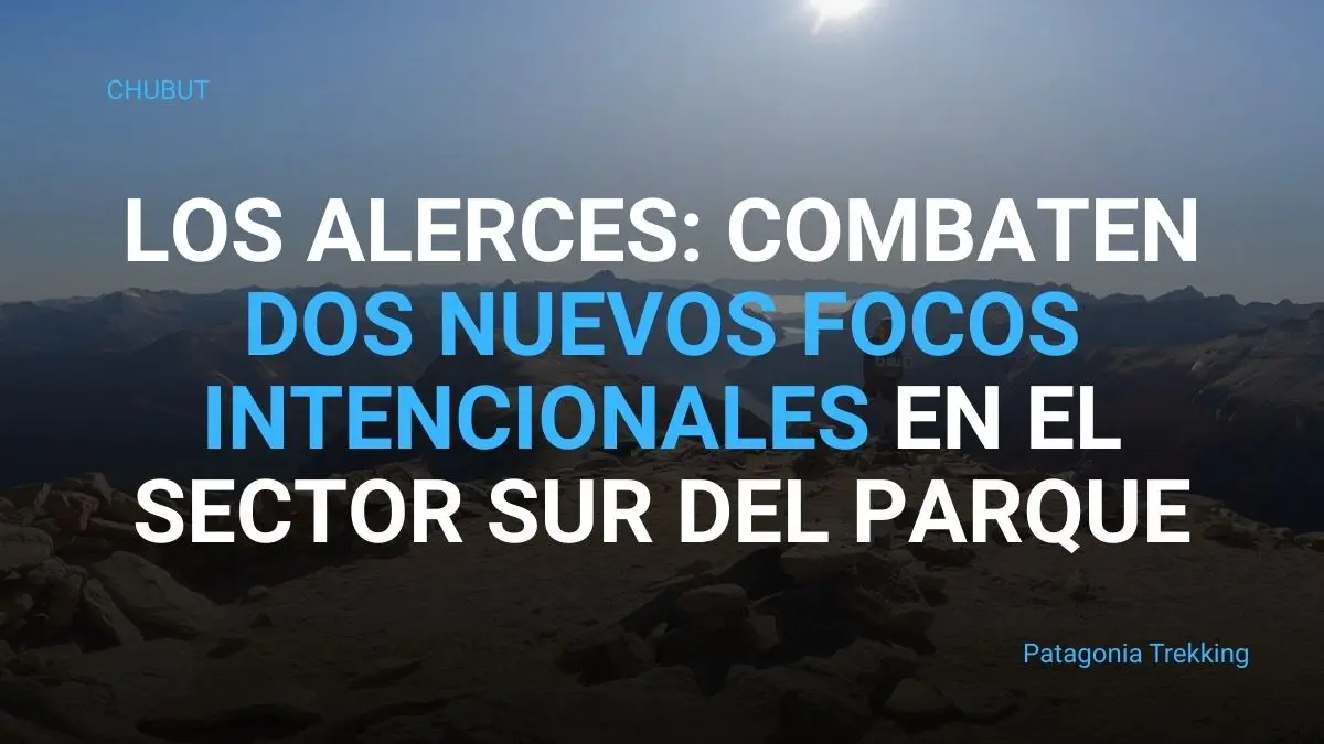 pn los alerces dos focos incendios intencionales