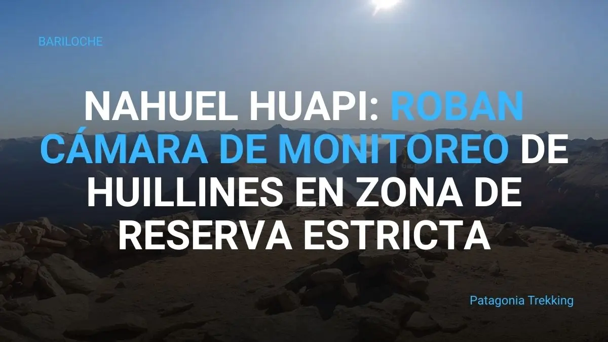 nahuel huapi robo camara trampa huillin