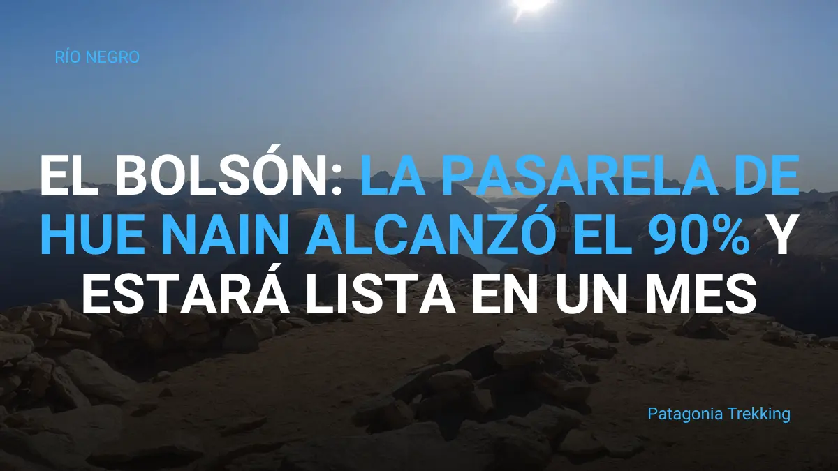 el bolson nueva pasarela anprale