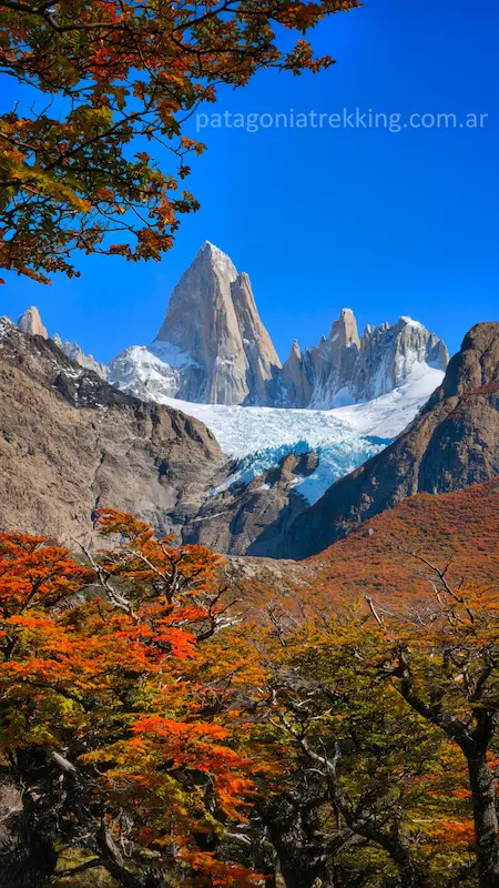 El Chaltén: De Piedra del Fraile a Poincenot por el mirador del glaciar Piedras Blancas 24 el chalten fitz roy glaciar piedras blancas otono