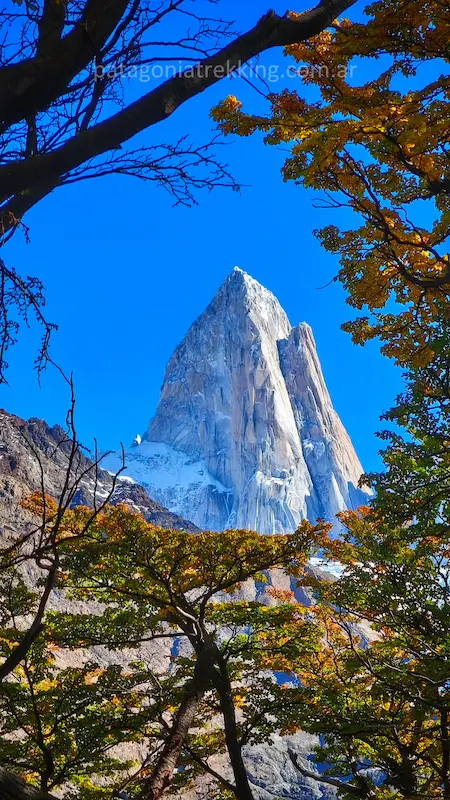 El Chaltén: De Piedra del Fraile a Poincenot por el mirador del glaciar Piedras Blancas 26 el chalten fitz roy otono