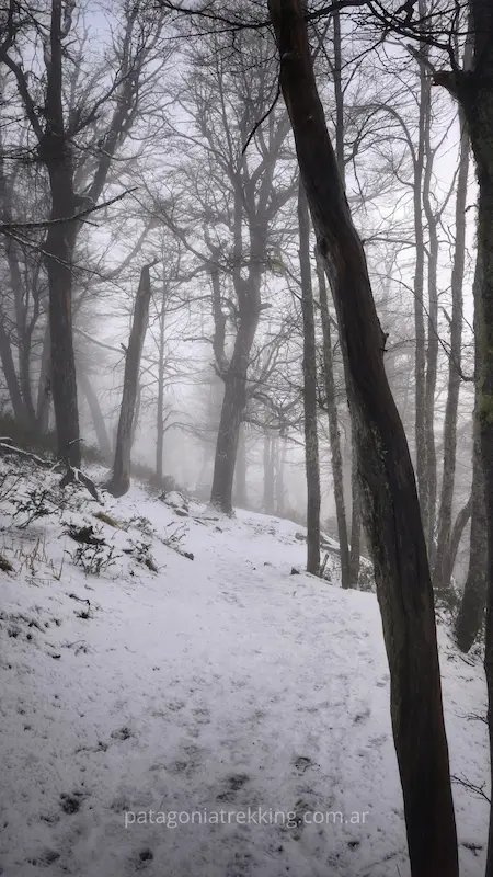Refugio Frey en invierno 33 Refugio frey invierno van titter neblina